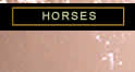 Valour Farms Horses