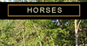 Valour Farms Horses
